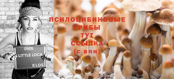 шишки Михайлов