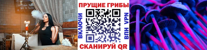 Псилоцибиновые грибы прущие грибы  Межгорье 